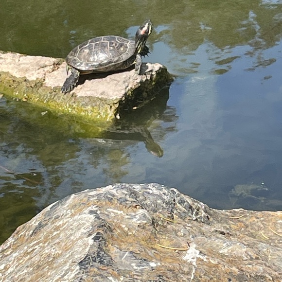 Photos - Picture 3 of 11